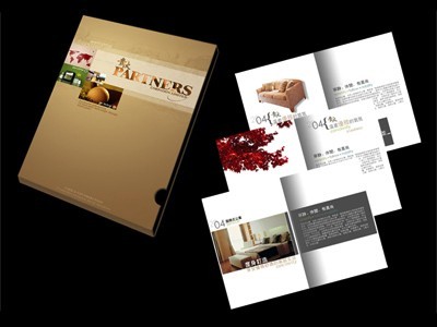 創(chuàng)新圖文藝術(shù) 專業(yè)燃?xì)忮仩t宣傳畫冊(cè)與說(shuō)明書設(shè)計(jì)制作服務(wù)